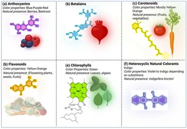 Application Prospects Of Natural Dyes: New Color Opportunities in The Green T...