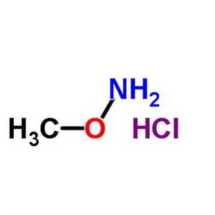 Methoxylamine Hydrochloride CAS 593-56-6
